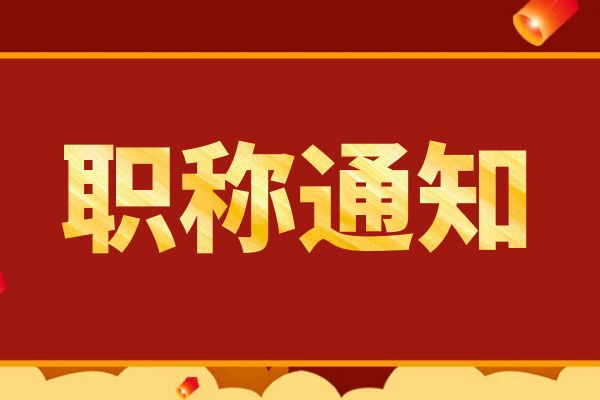 宿迁浙江省人力资源和社会保障厅关于印发 《浙江省职称评审管理实施办法》（试行）的通知